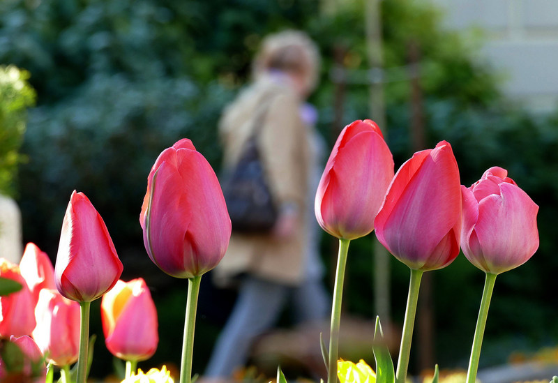 В 17 33 часа на 20 март в България настъпва астрономическата